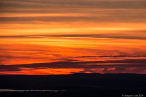 _MG_4754